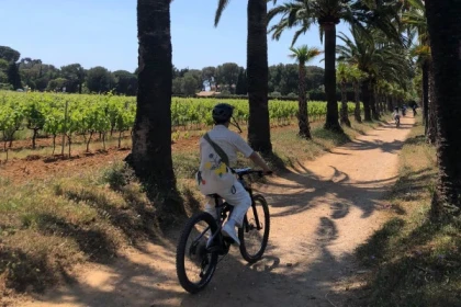 Découverte de notre terroir viticole à vélo - PROMO - Expérience Côte d'Azur