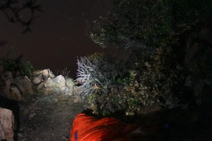 Découverte du Bivouac brame du cerf - Expérience Côte d'Azur