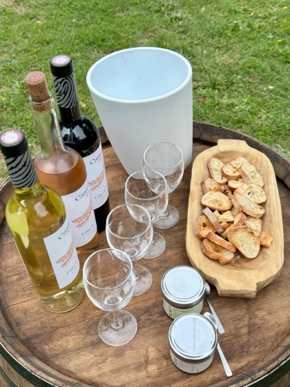 Dégustation de vin et visite des vignes - Expérience Côte d'Azur