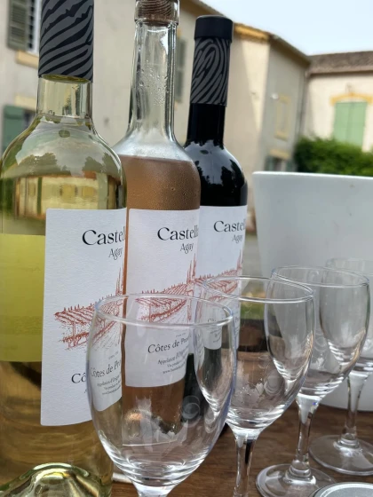 Dégustation de vin et visite des vignes - Expérience Côte d'Azur