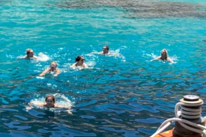Demi-journée en Voilier et Snorkeling avec Bruine Beer - Expérience Côte d'Azur