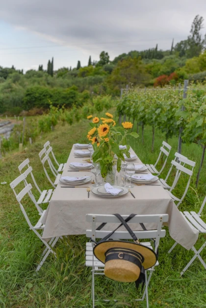 Dinner in the vineyard French Riviera - Expérience Côte d'Azur