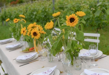 Dinner in the vineyard French Riviera - Expérience Côte d'Azur