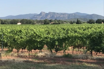 Randonnée en VTT électrique - Estérel - "A travers le temps" - Expérience Côte d'Azur
