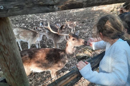Entrée promo - Parc nature Aoubré - Coeur du Var - Expérience Côte d'Azur