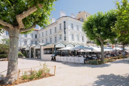 Escapade au pays du Mimosa ! - Expérience Côte d'Azur