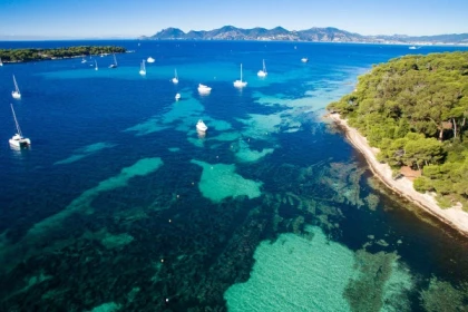 Excursion en mer semi-rigide  Cap d'Antibes - Expérience Côte d'Azur