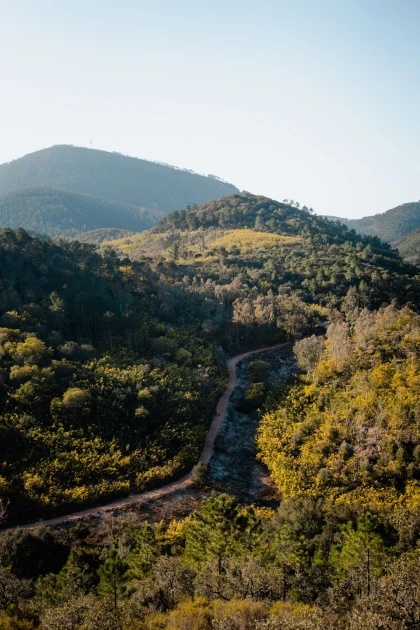 Explorer l’arrière pays Niçois à vélo gravel - Expérience Côte d'Azur