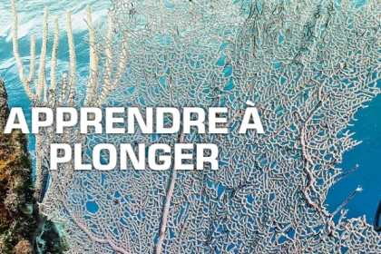 Formation Débutant plongée Niveau 1 - Fréjus - Expérience Côte d'Azur