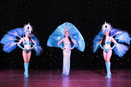 Journée Cabaret au Domaine du Billardier - Expérience Côte d'Azur