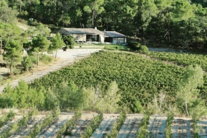 Journée oenologique vignobles de Bormes-les-Mimosas - Expérience Côte d'Azur