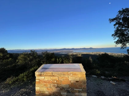 Le mimosa au coeur des Petites Maures - Expérience Côte d'Azur