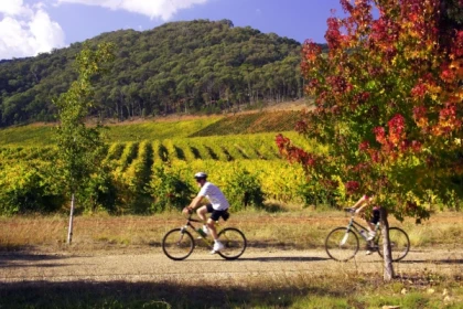 Le Vignoble de Provence à Vélo - Tour Privé - Expérience Côte d'Azur