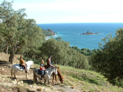 les Ferrières: Balade à cheval cavalier moyen dans l’Estérel – Vue mer à Saint-Raphaël - Expérience Côte d'Azur