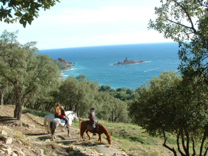 les Ferrières: Balade à cheval cavalier moyen dans l’Estérel – Vue mer à Saint-Raphaël - Expérience Côte d'Azur