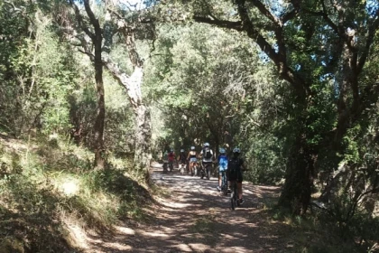 Location de VTT éléctrique - au coeur de l'Estérel - Expérience Côte d'Azur