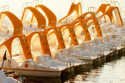 Location pédalos avec toboggan - Lac de St-Cassien - Expérience Côte d'Azur