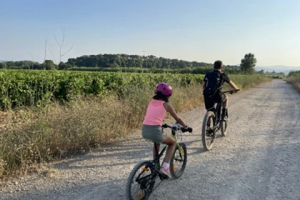 Location Vélo (VTTAE) + dégustation de vin - Expérience Côte d'Azur