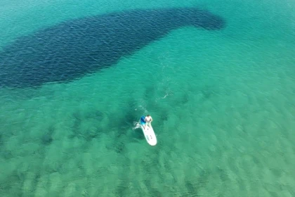 Location de paddle individuel - Plage de Pampelonne Saint-Tropez - Expérience Côte d'Azur