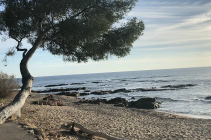 Longe côte training - Expérience Côte d'Azur