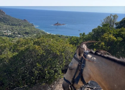 Panoramer: Balade à cheval débutant avec vue mer – Saint-Raphaël (Estérel) - Expérience Côte d'Azur