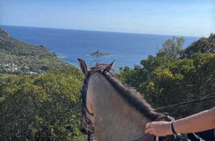 Panoramer: Balade à cheval débutant avec vue mer – Saint-Raphaël (Estérel) - Expérience Côte d'Azur