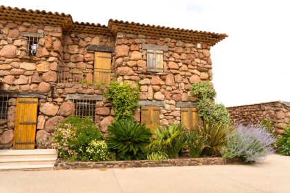 Pause dégustation Cheese & Wine face aux vignes - Spécial EVG/JF - Expérience Côte d'Azur