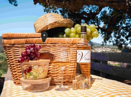 Pique nique dans les vignes - Expérience Côte d'Azur