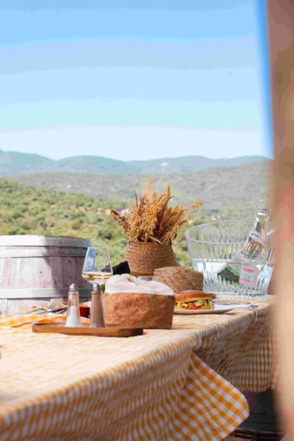 Pique nique dans les vignes - Expérience Côte d'Azur