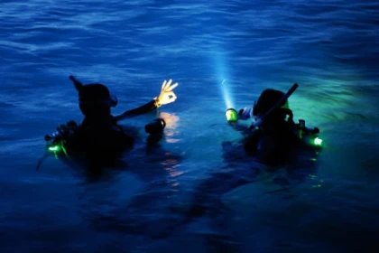 Plongée de Nuit (plongeur certifié - EXPERT) Fréjus - Expérience Côte d'Azur