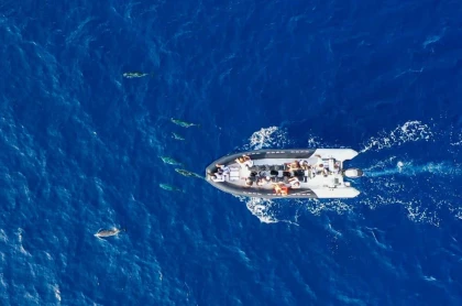 Privatisation semi-rigide : exploration des criques secrètes de la Côte d’Azur - Expérience Côte d'Azur