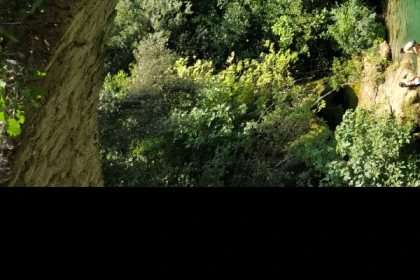 Randonnée découverte et plantes comestibles - Pays de Fayence - Expérience Côte d'Azur