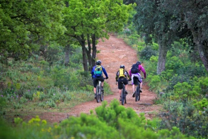 Randonnée guidée en VTT électrique - "EBIKE & WINE" presqu'ile de Saint-Tropez - Expérience Côte d'Azur
