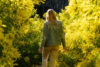 Randonnée Mimosa - Expérience Côte d'Azur