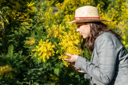 Randonnée Mimosa - Expérience Côte d'Azur