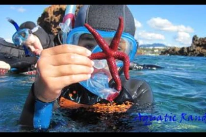 Randonnée palmée en mer - Port Fréjus - Expérience Côte d'Azur