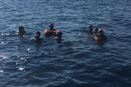 Randonnée aquatique palmée et balade en bateau - Expérience Côte d'Azur