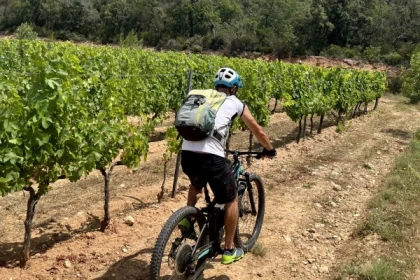 Randonnée en VTT électrique - "Au coeur du vignoble" - Expérience Côte d'Azur