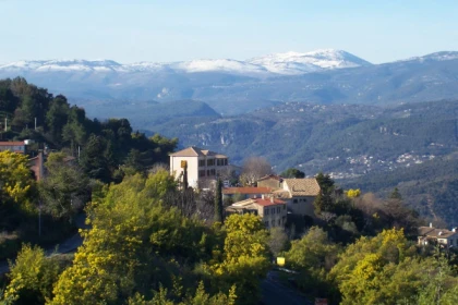 Route du Mimosa - Excursion en autocar - Expérience Côte d'Azur