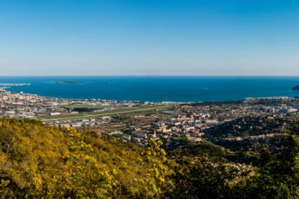 Route du Mimosa - Excursion en autocar - Expérience Côte d'Azur