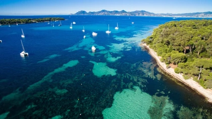 Saint-Raphaël : Journée snorkeling Esterel & Iles de Lérins - Expérience Côte d'Azur