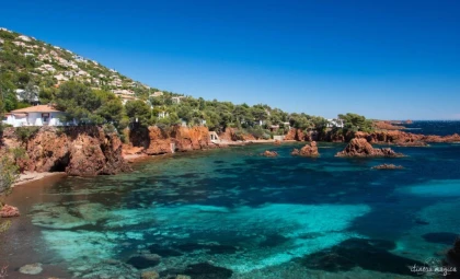 Saint-Raphaël : Snorkeling guidé à l'Île des Vieilles - Anthéor - Expérience Côte d'Azur