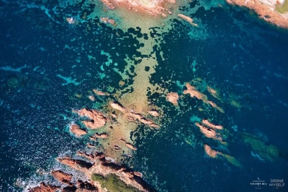 Saint-Raphaël : Snorkeling guidé à l'Île des Vieilles - Anthéor - Expérience Côte d'Azur