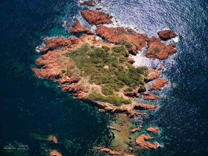 Saint-Raphaël : Snorkeling guidé au Cap Roux - Réserve - Expérience Côte d'Azur
