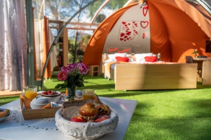 Séjour Ma bulle de verre sous les pins - Roquebrune/Argens - Expérience Côte d'Azur