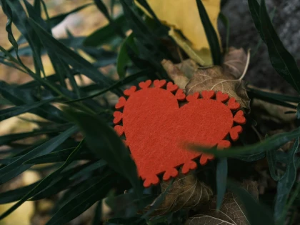Soirée Saint Valentin dansante à la Magnanerie - Seillans - Expérience Côte d'Azur