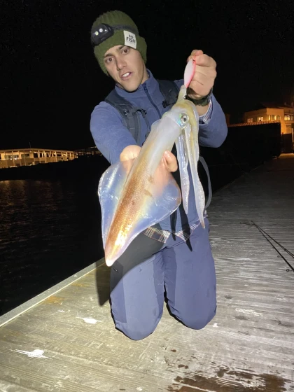 Sortie pêche aux calamars - Expérience Côte d'Azur