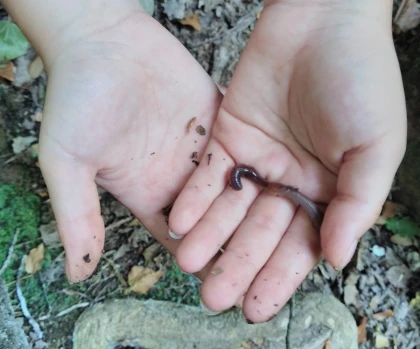 Sortie scolaire : jardinons bio ! - Expérience Côte d'Azur