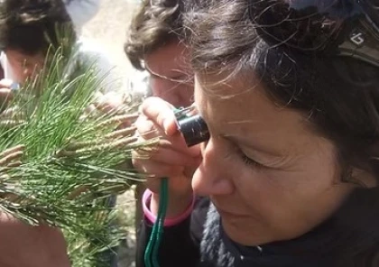Sortie scolaire nature : Allons herboriser ! - Expérience Côte d'Azur