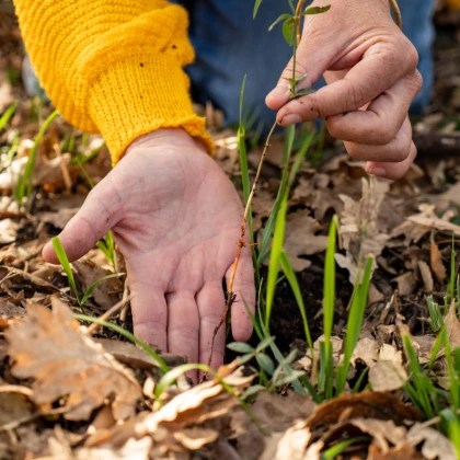 Sortie scolaire nature : Facile le Sol ! - Expérience Côte d'Azur